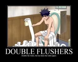Double Flushers