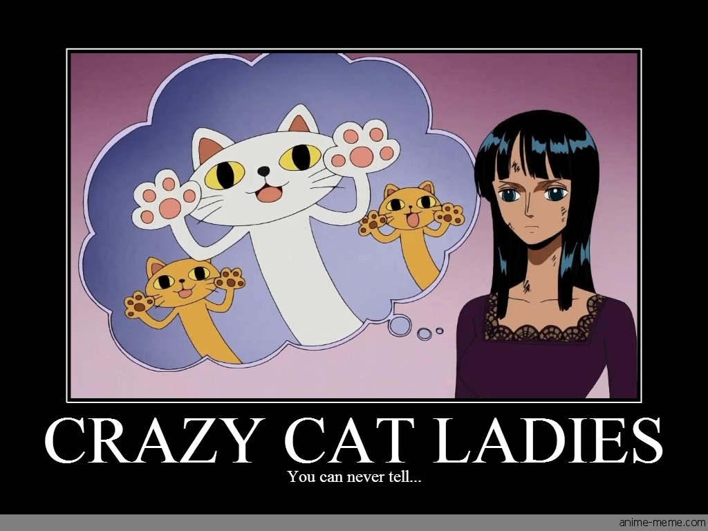 Crazy Cat Ladies