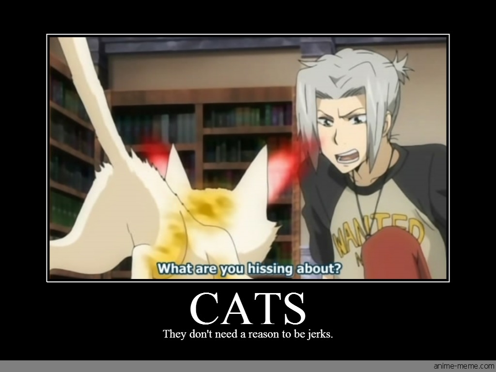 Cats
