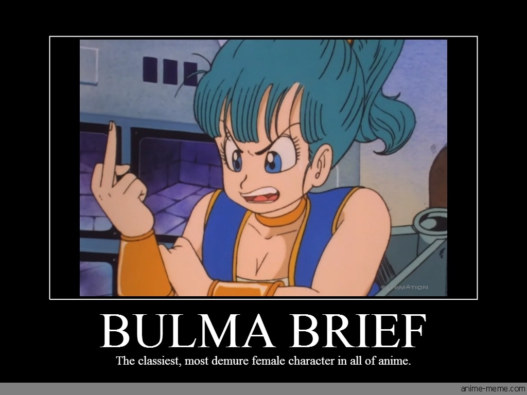 Bulma Brief