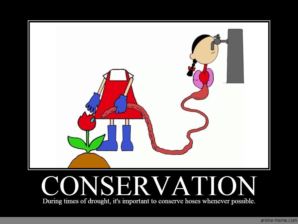 Conservation