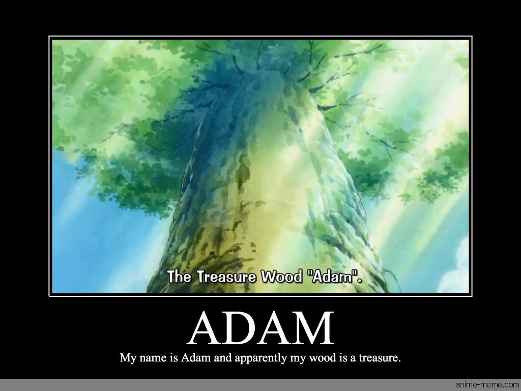 Adam