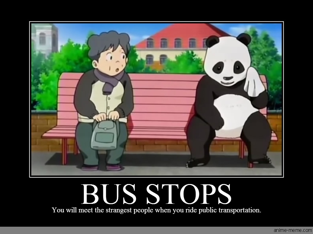 Bus Stops