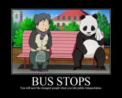 Bus Stops