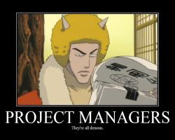 Project Managers
