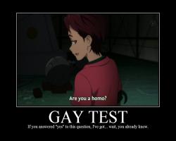 Gay Test