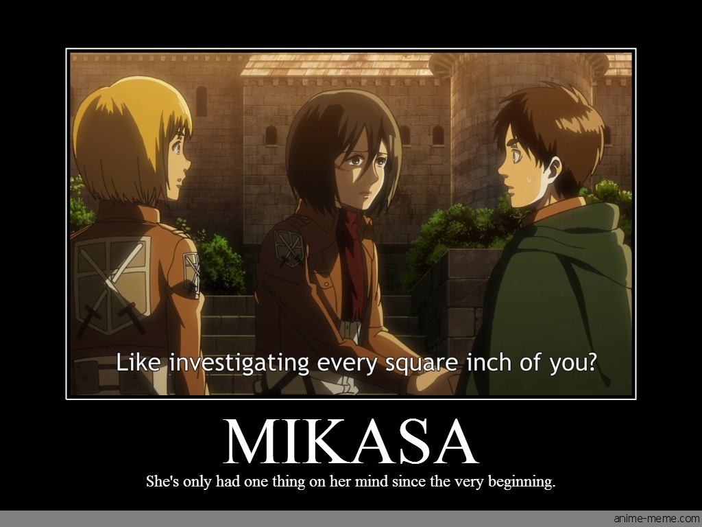 Mikasa