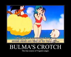 Bulma's Crotch