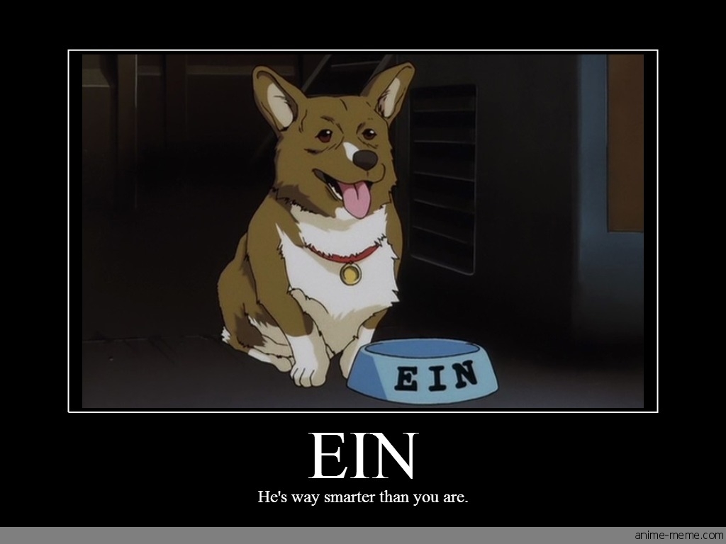 Ein