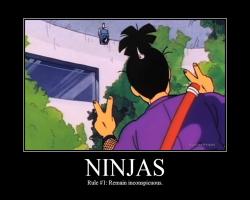 Ninjas