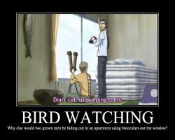 Bird Watching