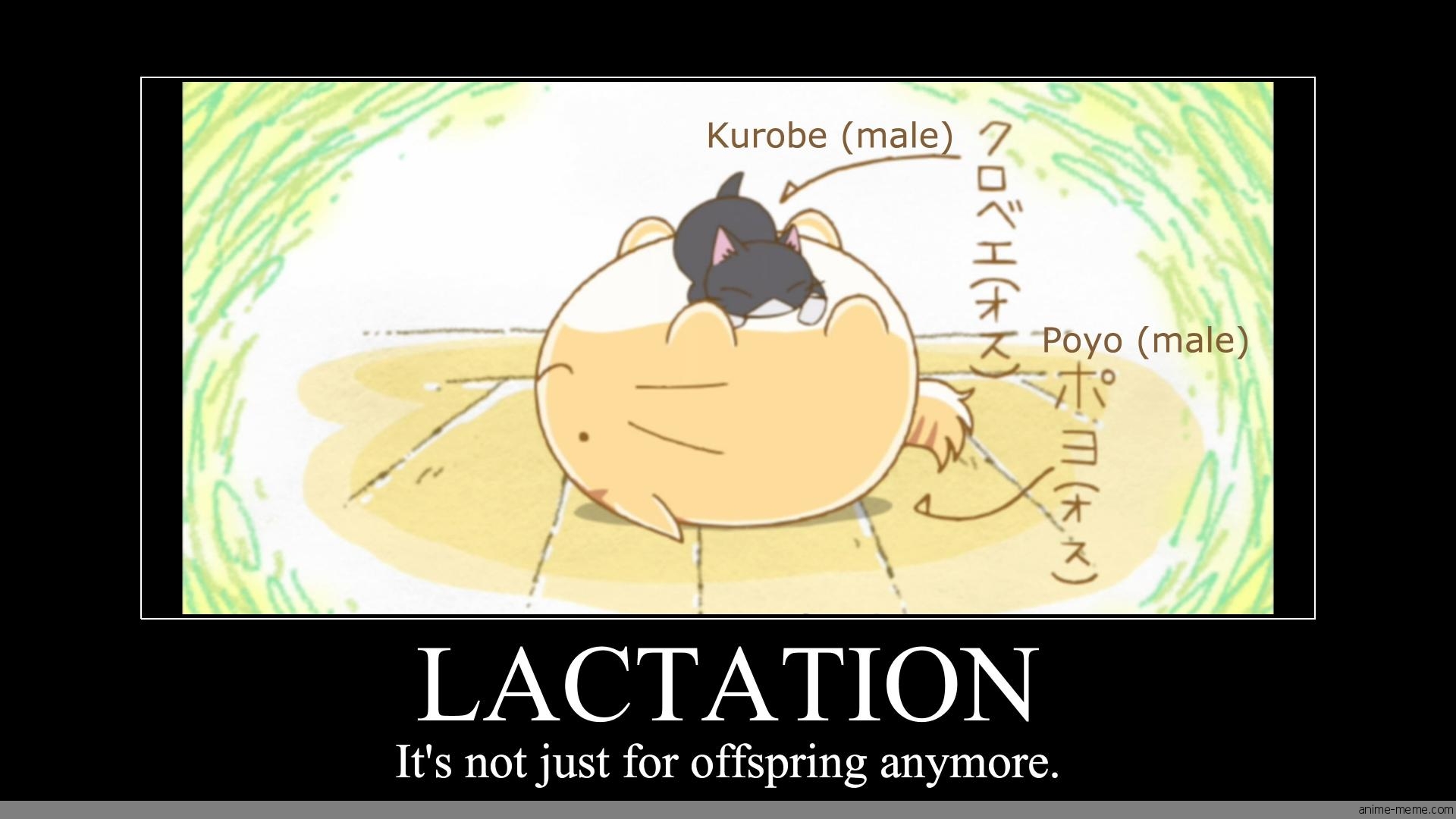 Lactation