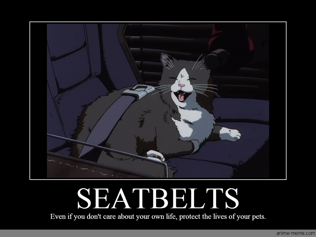 Seatbelts
