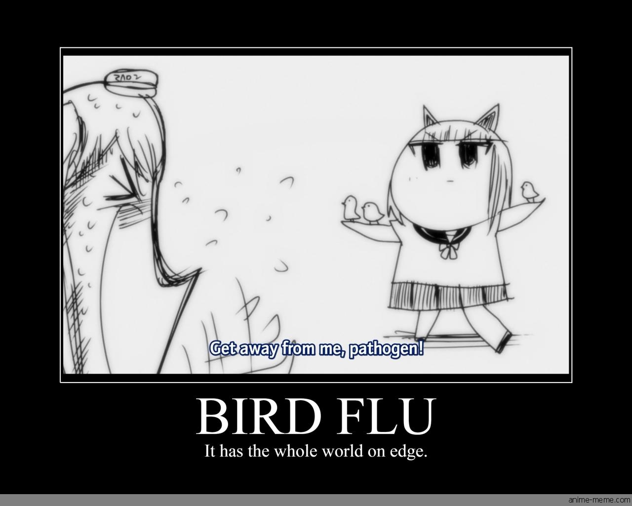 Bird Flu