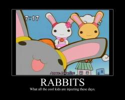 Rabbits