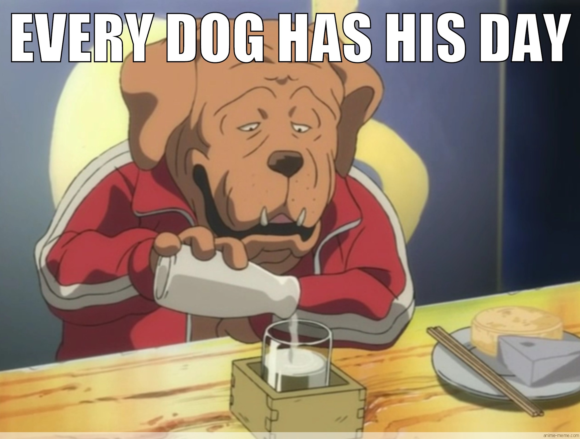 Every Dog Has His Day