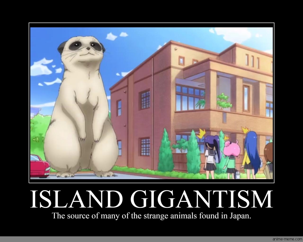 Island Gigantism
