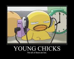 Young Chicks