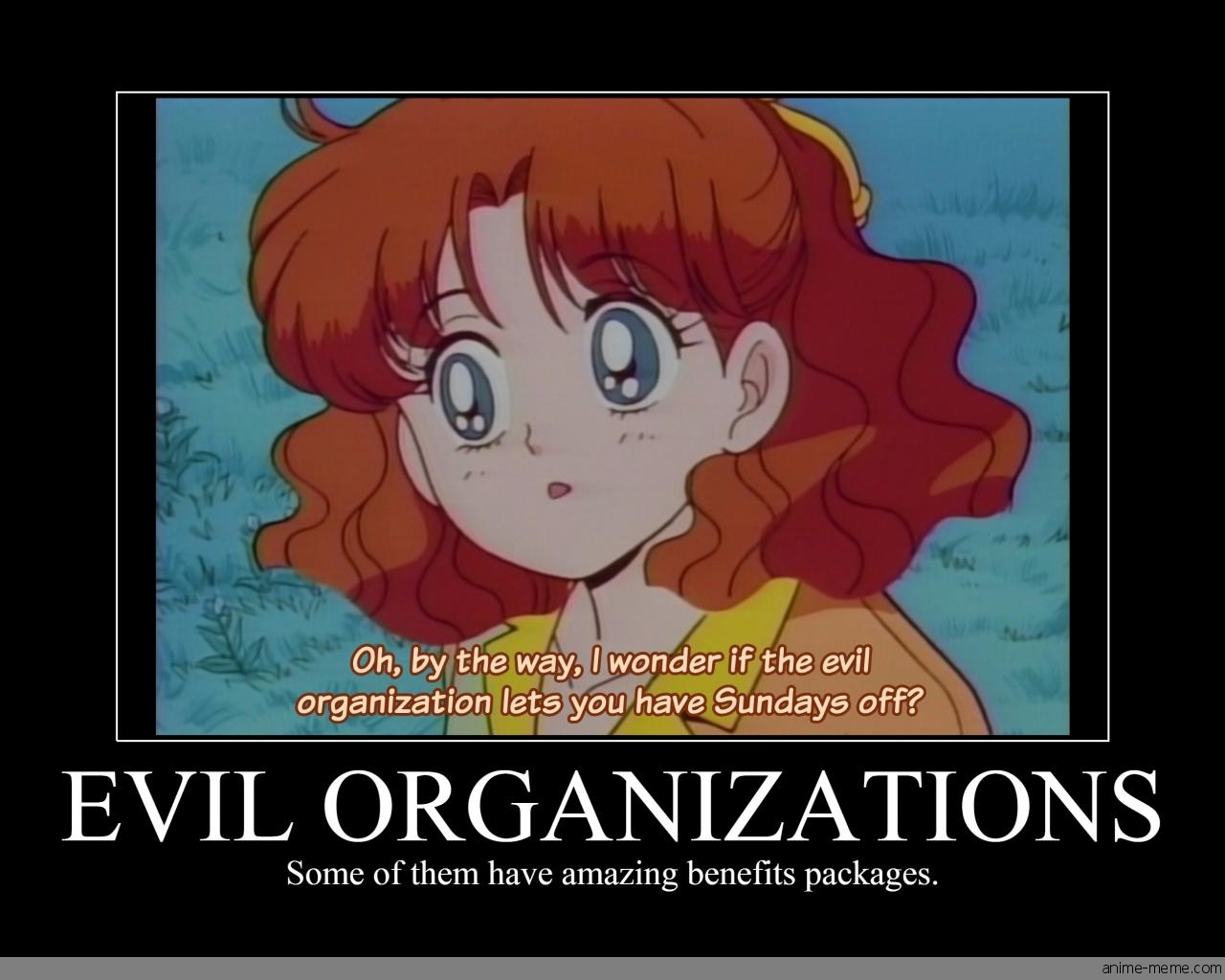 Evil Organizations