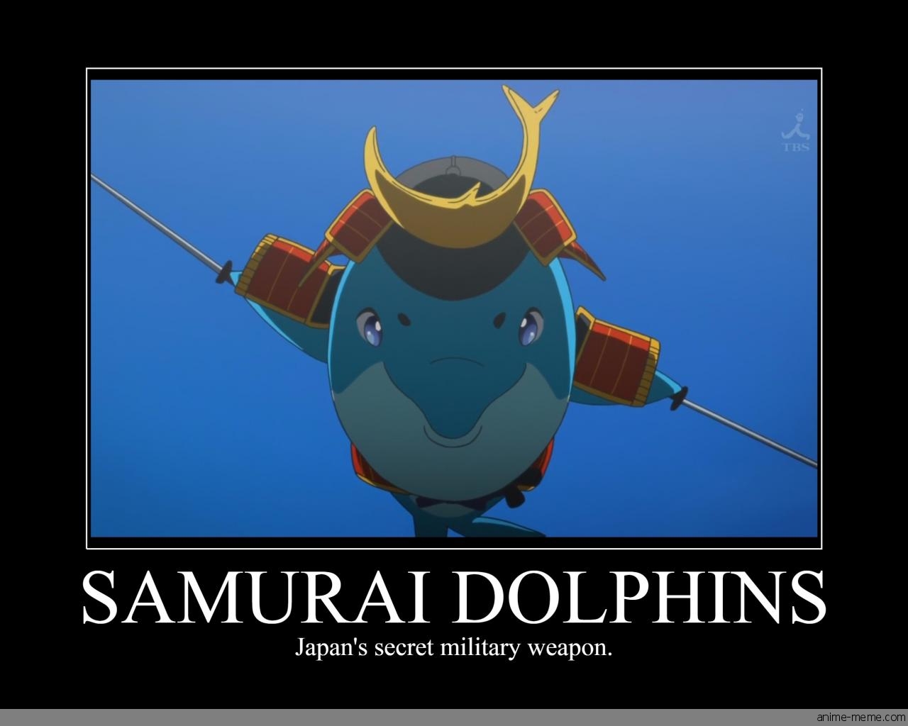 Samurai Dolphins