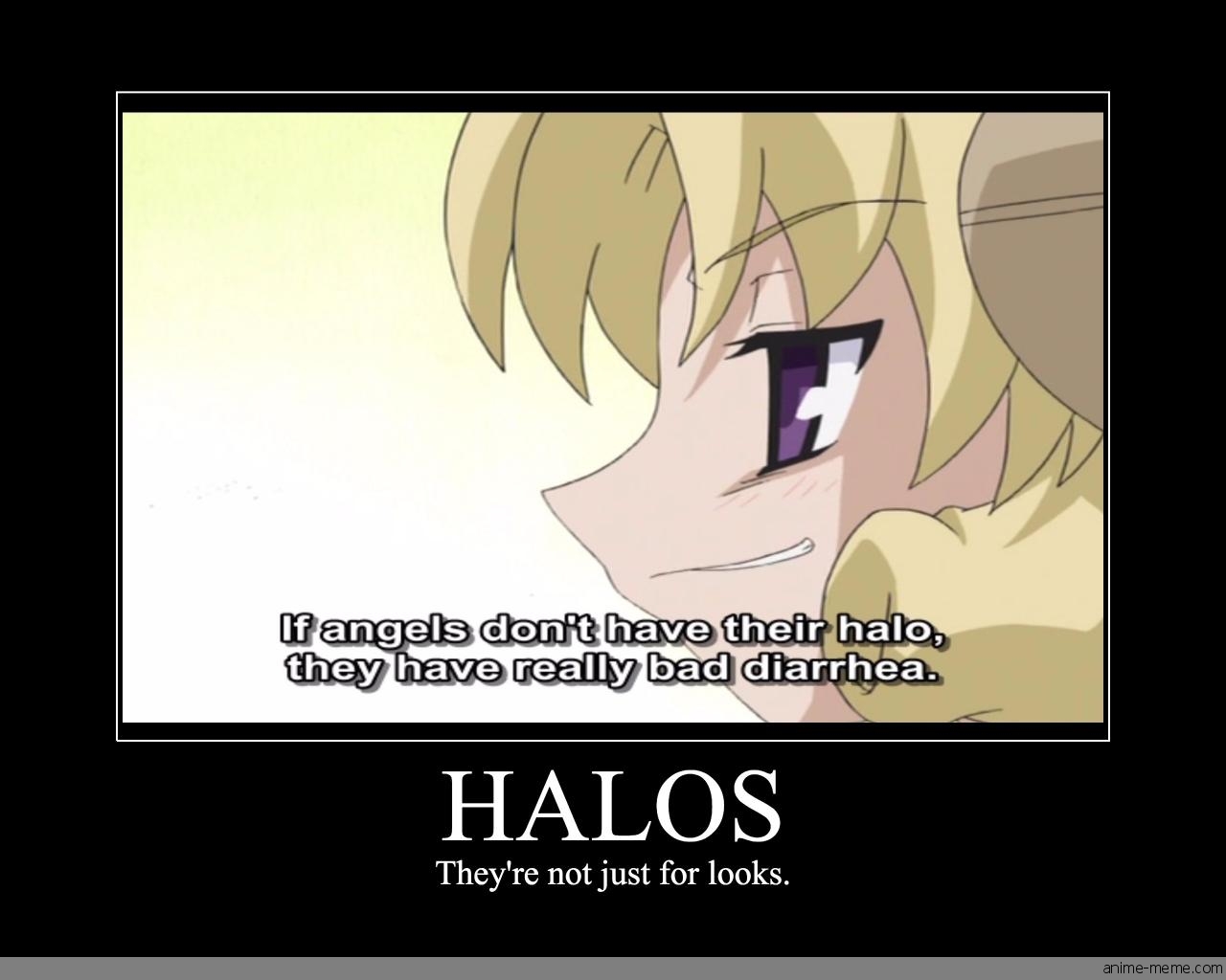 Halos