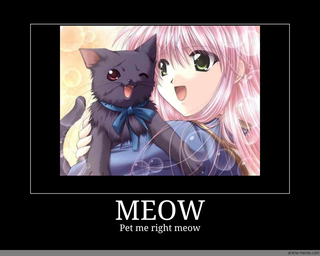 MEOW