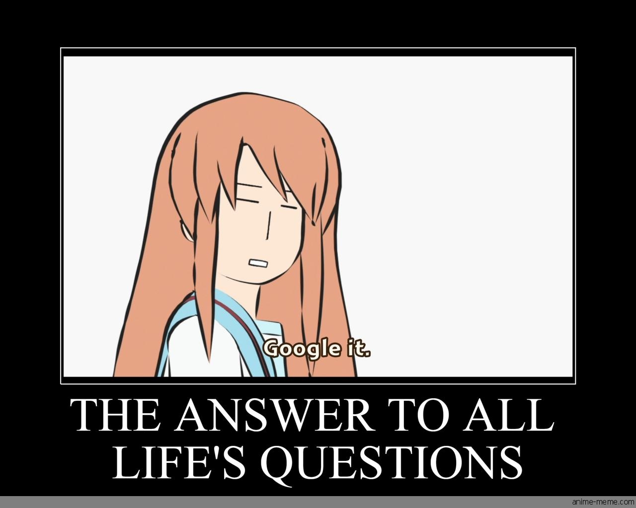 The Answer to All Life's Questions