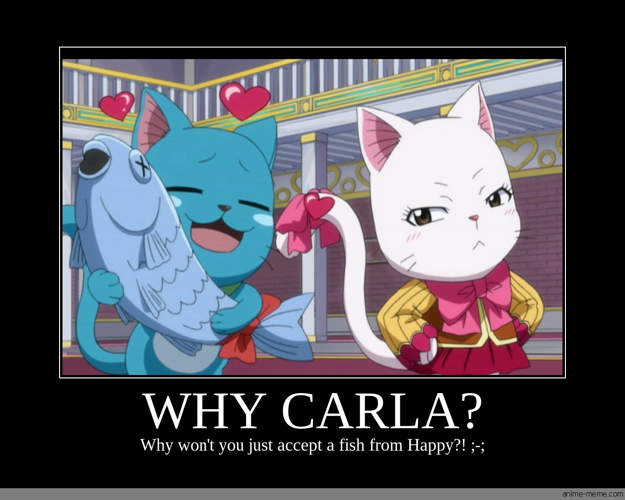 Why Carla?