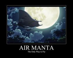 Air Manta
