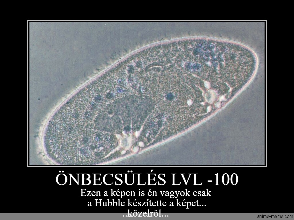 Önbecsülés lvl -100