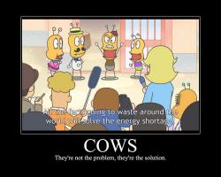 Cows