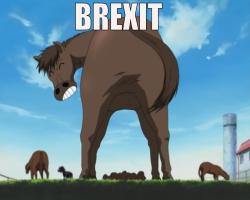 BREXIT